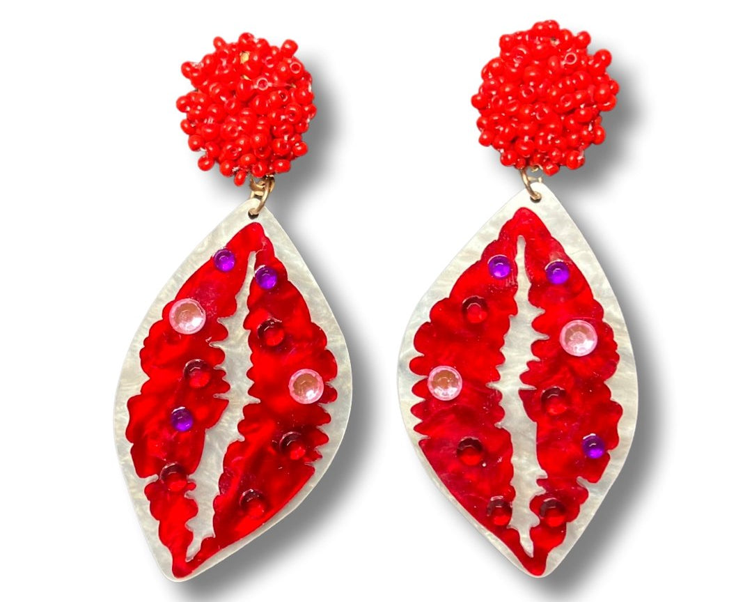 Acrylic lips valentines earrings - Shimmer Me